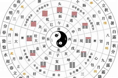 丙 五行|十天干十二地支对应五行 十天干十二地支五行阴阳属性